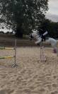 cheval 15ans