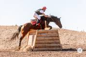 Vend cheval de concours