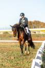 Vend cheval de concours