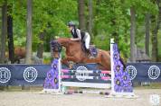 Hongre horse ball cso Hunter 