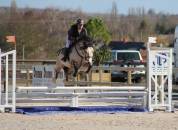 Pouliche 2024 - Welsh Cob (D) PP 