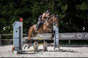demi pension cheval 4 ans 