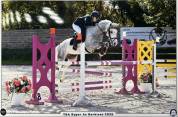 Ponette D de sport