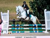 cheval &agrave; vendre