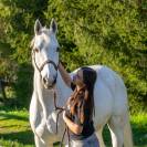 cheval &agrave; vendre
