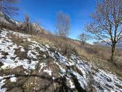 Terrain &agrave; vendre  La Fare-en-Champsaur  Environ 3 968 m&sup2;