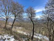 Terrain &agrave; vendre  La Fare-en-Champsaur  Environ 3 968 m&sup2;
