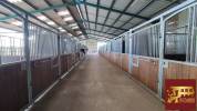 Equestrian Bed and Breakfast  Sa&ocirc;ne-et-Loire