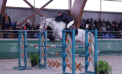 Poney de sport - Tois&eacute; FEI - AsElite/CSI