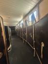 Camion chevaux 9 places