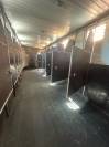 Camion chevaux 9 places