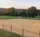 Pension au pr&eacute; cheval 
