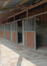 Pension au pr&eacute; cheval 