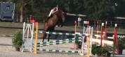 SF 11 ans class&eacute; gagnant 120/125