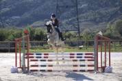 ⭐️ jolie cheval polyvalent⭐️