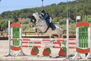 ⭐️ jolie cheval polyvalent⭐️