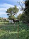 Albergue ecuestre En venta Bocas del R&oacute;dano