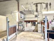 Albergue ecuestre En venta Bocas del R&oacute;dano