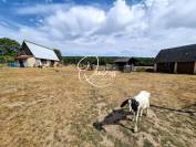 Maison de campagne - 7900m2 - La Mailleraye-sur-Seine (76)