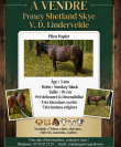 Poney shet