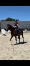 Hongre 3ans par Nervoso