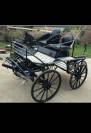 Carriage - Marathon for competition - Other brand - Marathon  