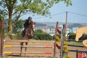 Poni C salto de obst&aacute;culos y completo