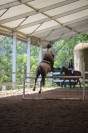 Poni C salto de obst&aacute;culos y completo
