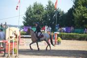 Poni C salto de obst&aacute;culos y completo