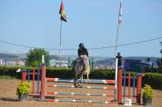 Poni C salto de obst&aacute;culos y completo