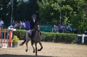 Poni C salto de obst&aacute;culos y completo