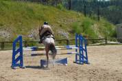 Poni C salto de obst&aacute;culos y completo
