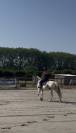GRAND PONEY C
