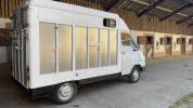 Renault master camion chevaux 