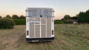 Renault master camion chevaux 