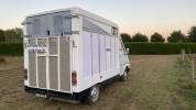 Renault master camion chevaux 