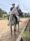 Cheval de famille