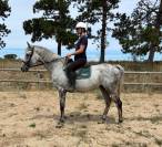 Cheval de famille