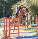 Hongre 9ans - CSO amateur 1