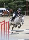 Jument de sport  