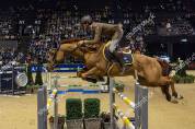 Intero Zangersheide In vendita 2026 Sauro ,  KASSANDER VAN 'T ROOSAKKER