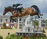  A vendre 3 ans SF femelle bai 1m66 Elevage des Tess