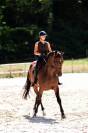 Jument 9 ans par Canturo
