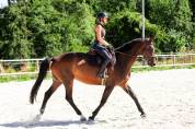 Jument 9 ans par Canturo