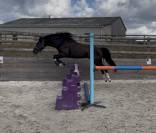 Poney pratique avec moyens 