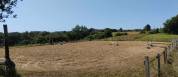 Luxurious equestrian property  Landes