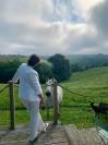 Luxurious equestrian property  Landes