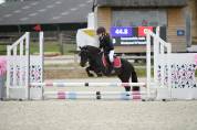 Demi-pension Blackpearl d&rsquo;Upapie, shetland PP 15 ans