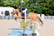 Poney de Sport 