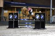 Poney de Sport 
